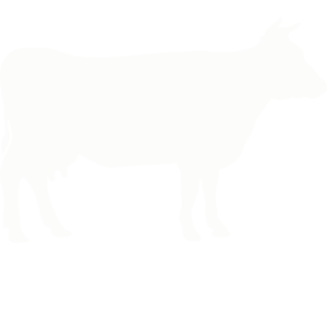 Taste Me | Gastrobar & Parrilla en Chamberí